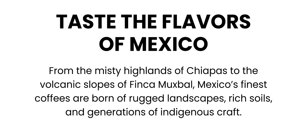 Taste The Flavors of Mexico