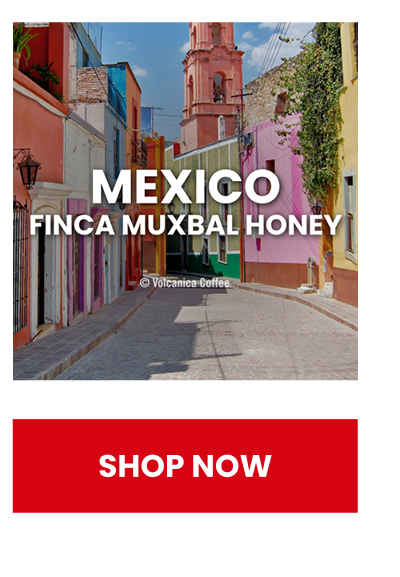 Mexico Honey Coffee, Finca Muxbal