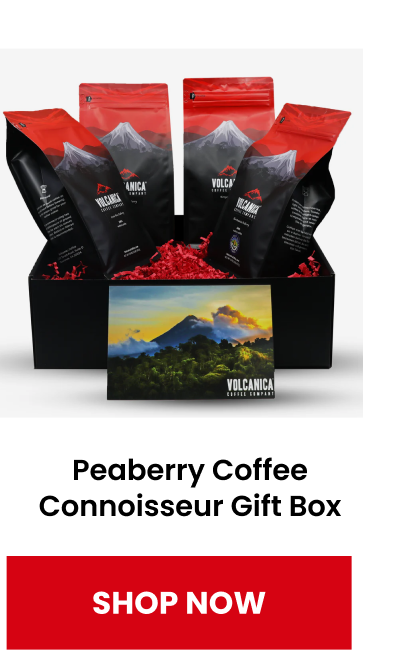 Peaberry Coffee Connoisseur Gift Box