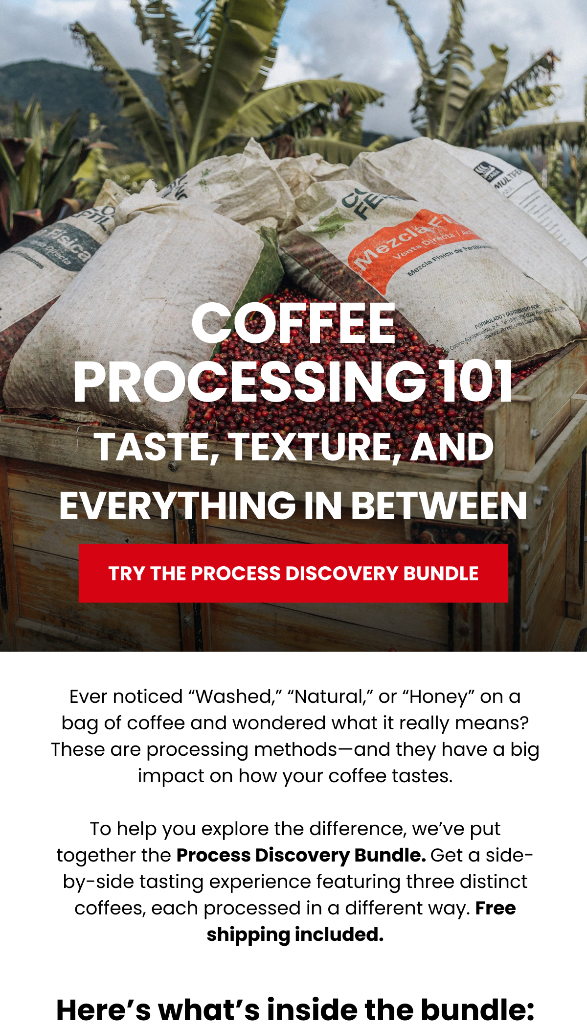 Coffee Processing 101