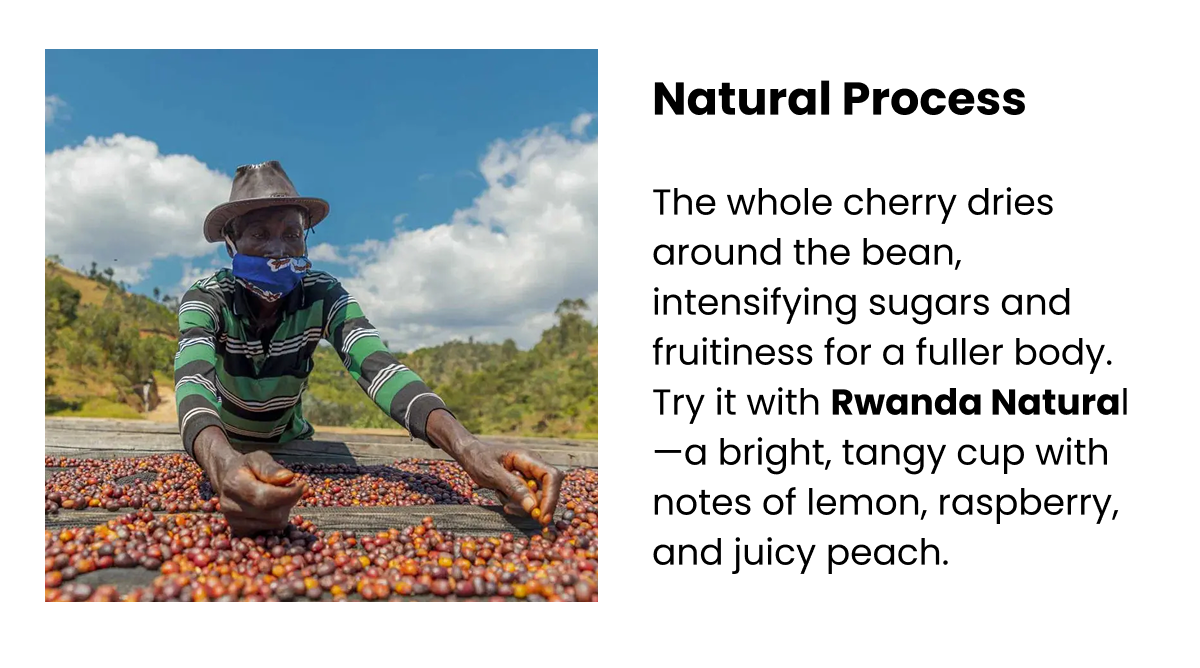 Natural Process