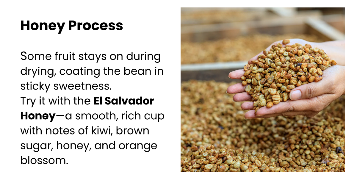 Honey Process