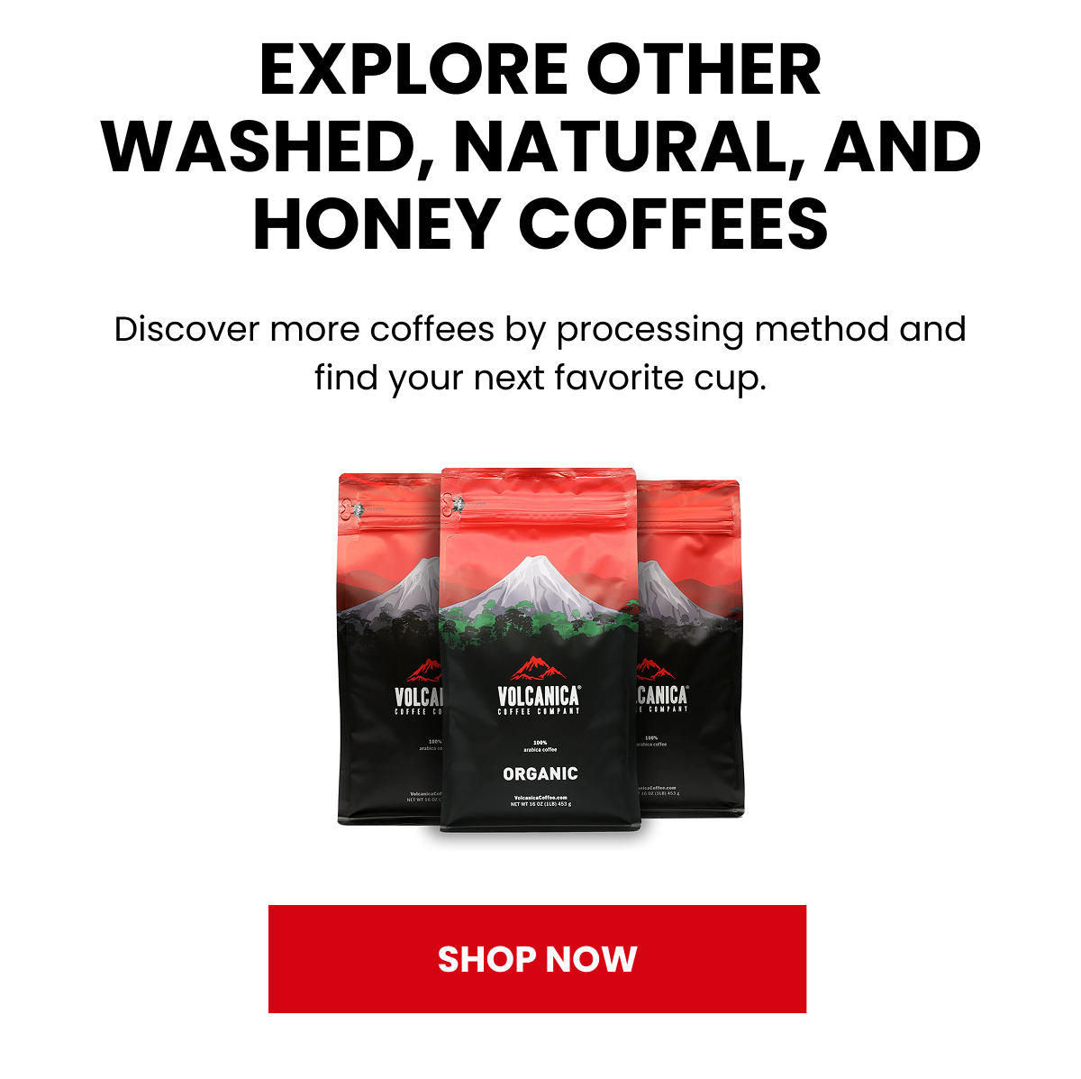 Explore other washed, natural and honey coffees