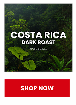 Costa Rican Dark Roast Coffee 