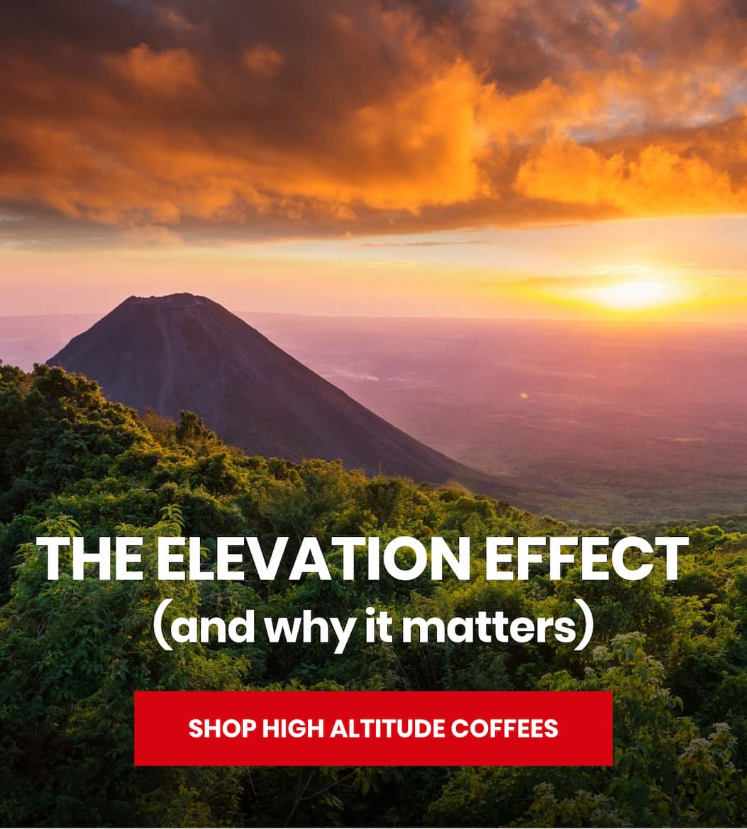 The elevation effect  (and why it matters)