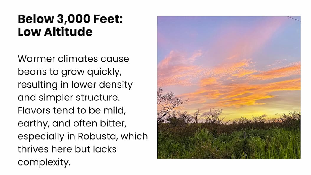 Below 3,000 Feet: Low Altitude