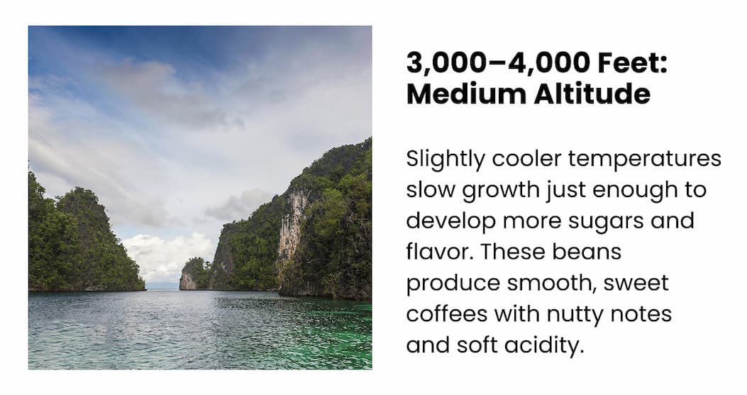 3,000–4,000 Feet: Medium Altitude