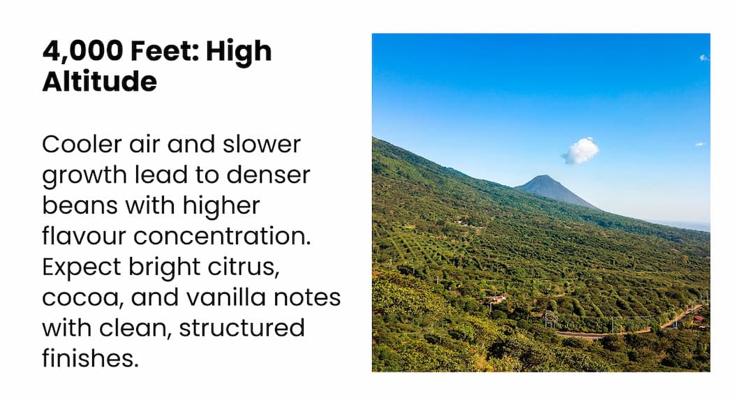 4,000 Feet: High Altitude