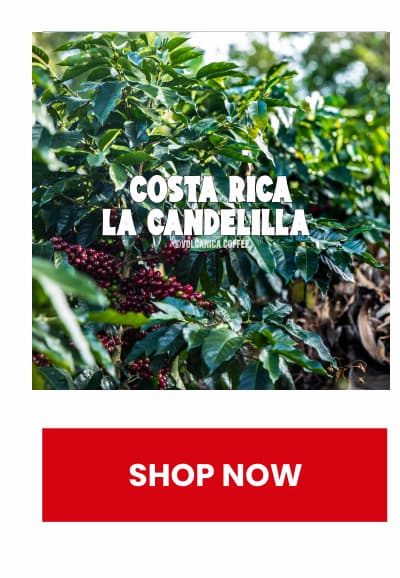 Costa Rica La Candelilla Coffee