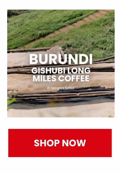 Burundi Gishubi Long Miles Coffee