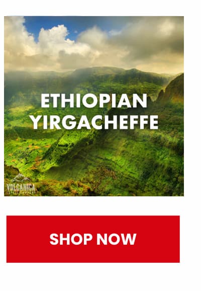 Ethiopian Yirgacheffe Coffee - USDA Organic