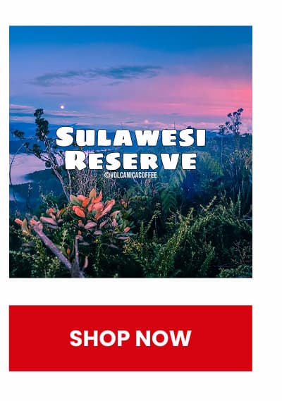 Sulawesi Dark Roast Coffee - Reserve, Celebes Kalossi