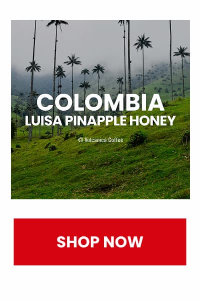 Colombia Pineapple Honey Coffee, Finca La Luisa