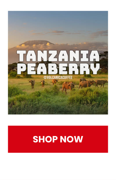 Tanzania Peaberry Coffee