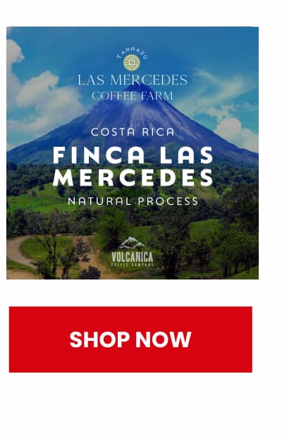 Costa Rica Coffee, Finca Las Mercedes, Natural Process