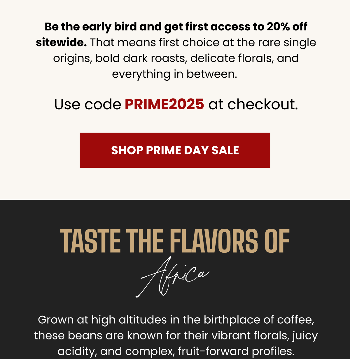 Shop Prime Day Sale