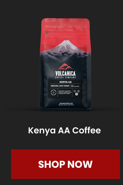 Kenya AA Coffee - Kenya Coffee