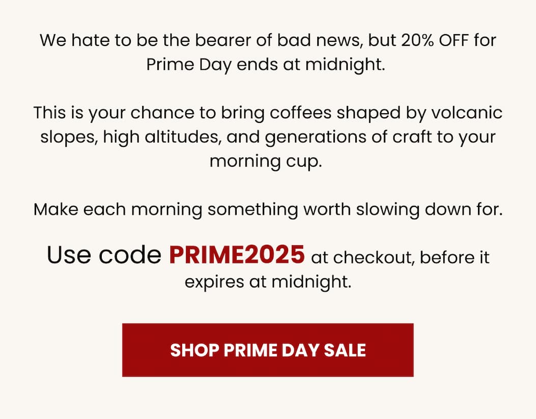 Shop Prime Day Sale