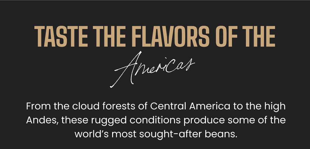 TASTE THE FLAVORS OF THE Americas