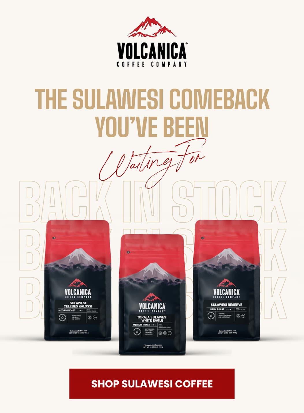 THE SULAWESI COMEBACK YOU’VE BEEN Waiting For