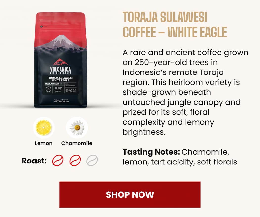 Toraja Sulawesi Coffee – White Eagle