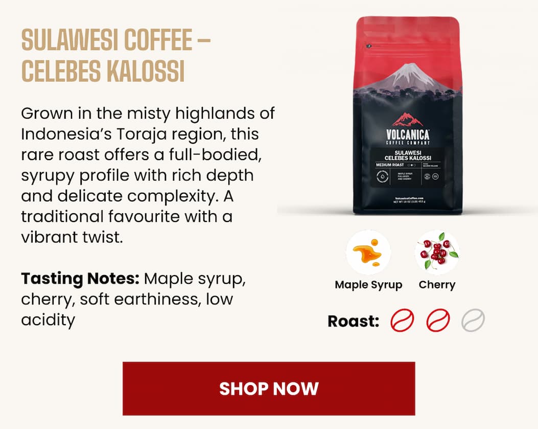 Sulawesi Coffee – Celebes Kalossi
