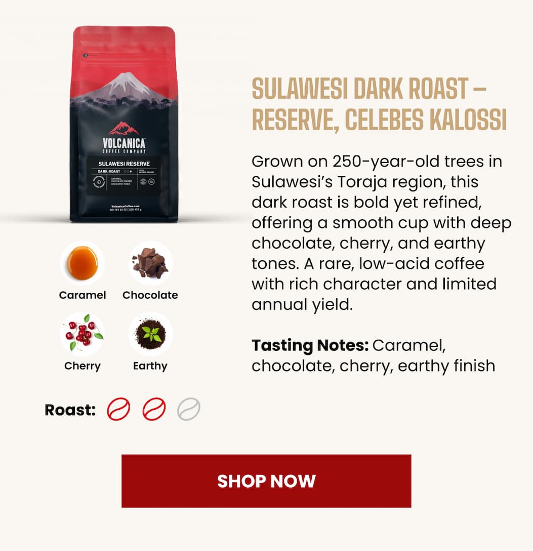 Sulawesi Dark Roast – Reserve, Celebes Kalossi