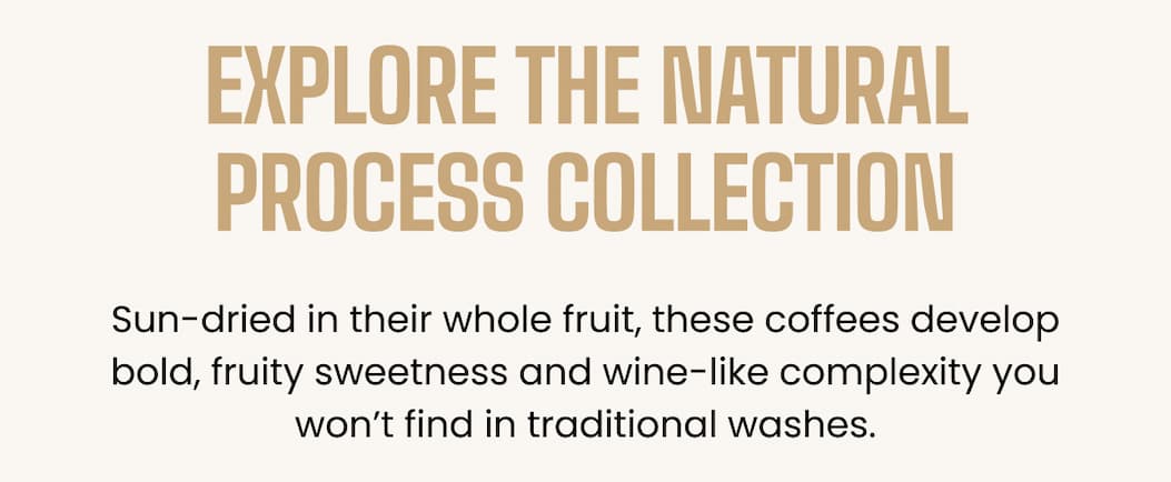 EXPLORE THE NATURAL PROCESS COLLECTION