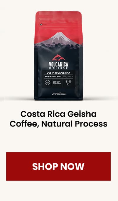 Costa Rica Geisha Coffee, Natural Process