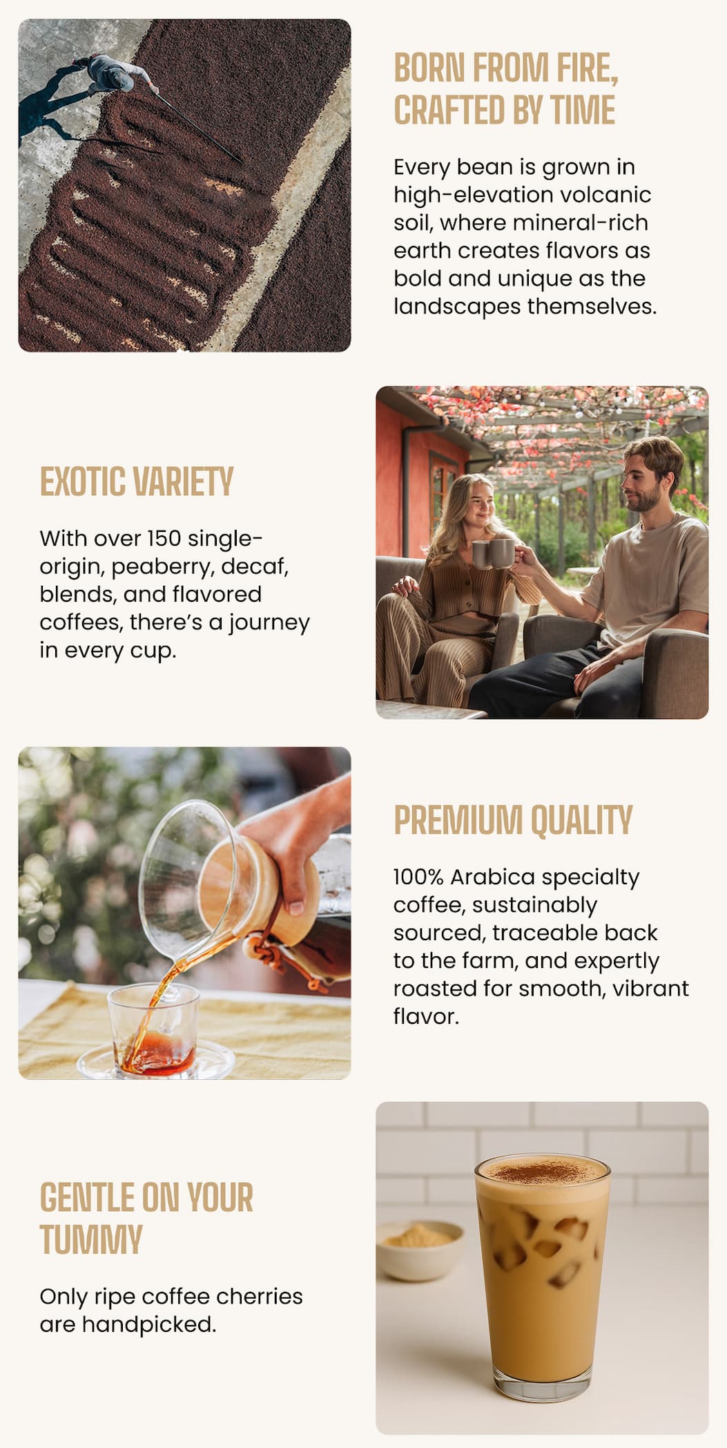 Extraordinary Coffee, 21 Years in the Making