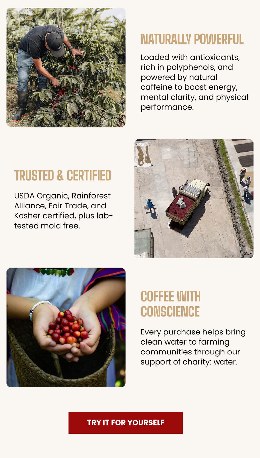 Extraordinary Coffee, 21 Years in the Making