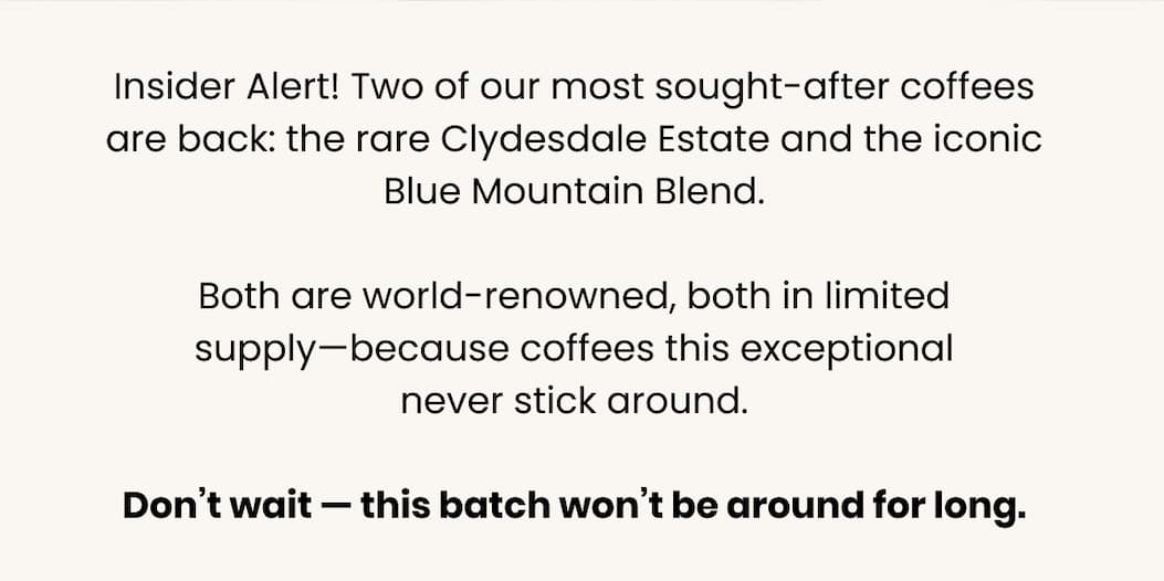Insider Alert! Two of our most sought-after coffees are back: the rare Clydesdale Estate and the iconic Blue Mountain Blend.  Both are world-renowned, both in limited supply—because coffees this exceptional never stick around.  Don’t wait — this batch won’t be around for long.
