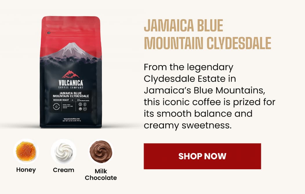 Jamaica Blue Mountain Clydesdale