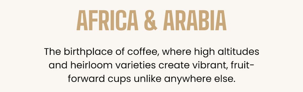 Africa & Arabia