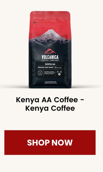 Kenya AA Coffee - Kenya Coffee