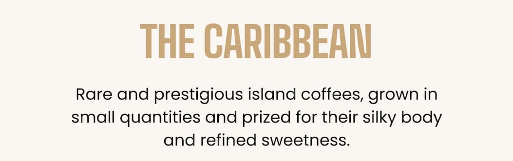 The Caribbean