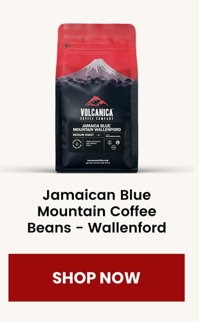 Jamaican Blue Mountain Coffee Beans - Wallenford