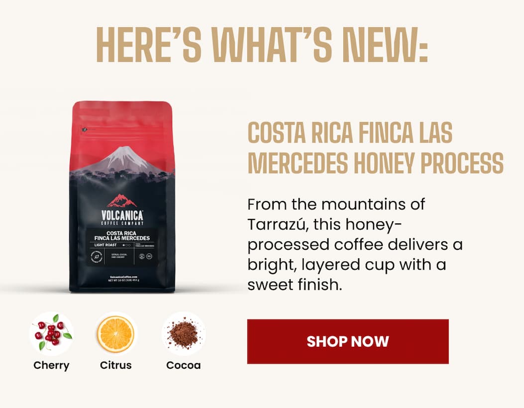 Costa Rica Finca Las Mercedes Honey Process 