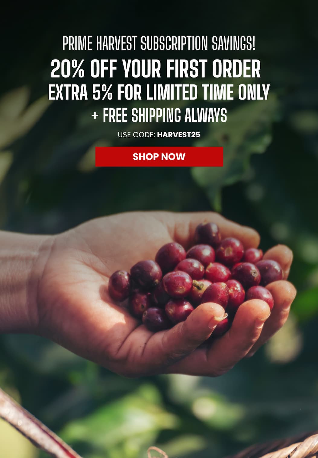 HARVEST THE PRIME SAVINGS.  Savor The Coffee.