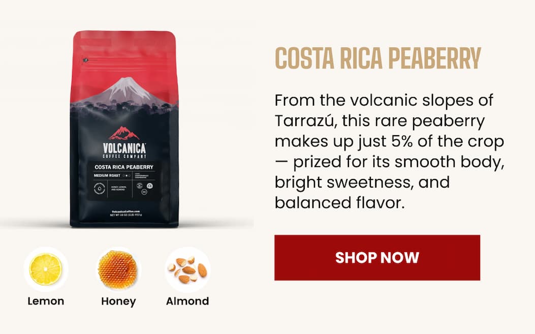 COSTA RICA PEABERRY 