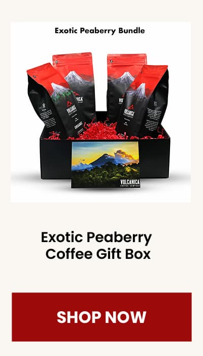 Exotic Peaberry Coffee Gift Box