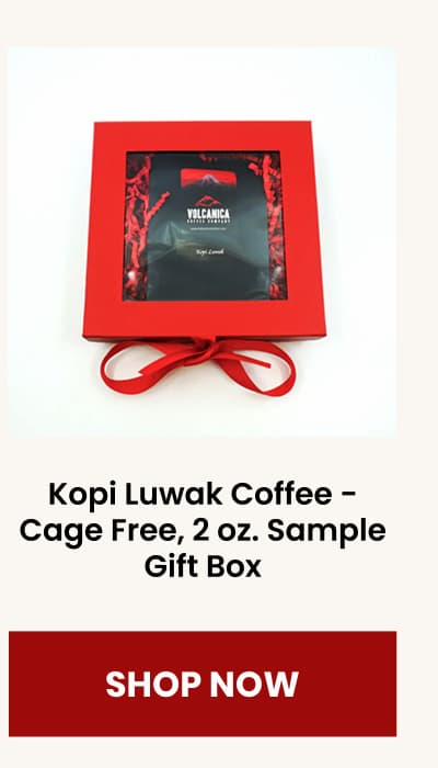 Kopi Luwak Coffee - Cage Free, 2 oz. Sample Gift Box