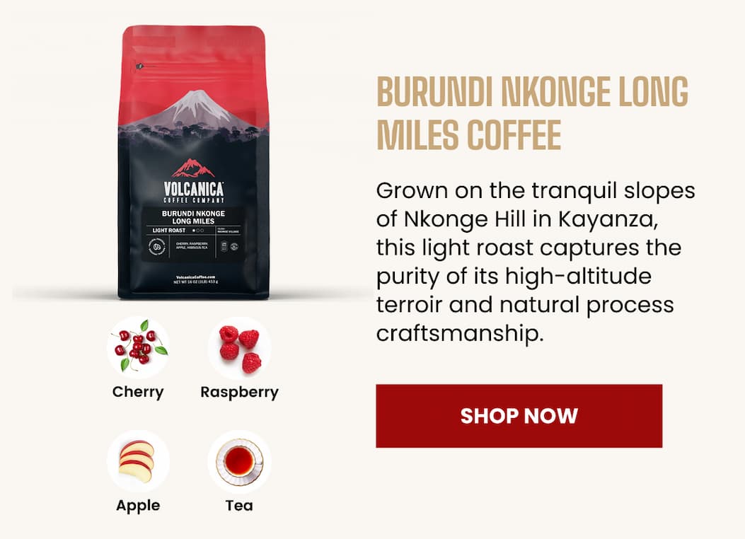 Burundi Nkonge Long Miles Coffee
