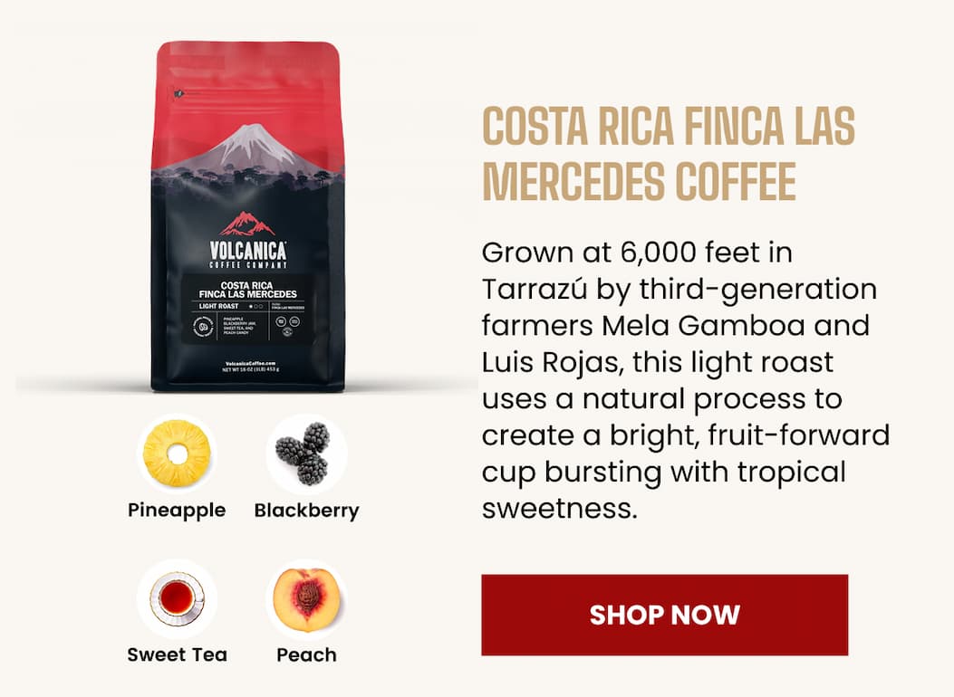 Costa Rica Finca Las Mercedes Coffee