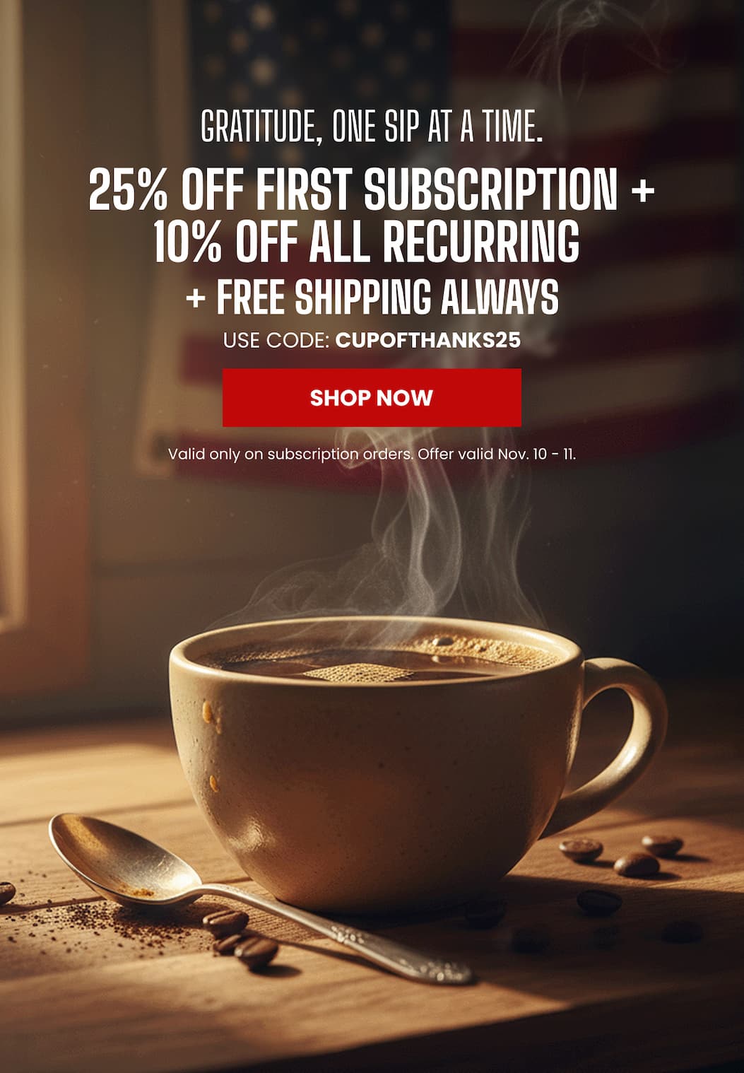 25% OFF + FREE SHIPPING