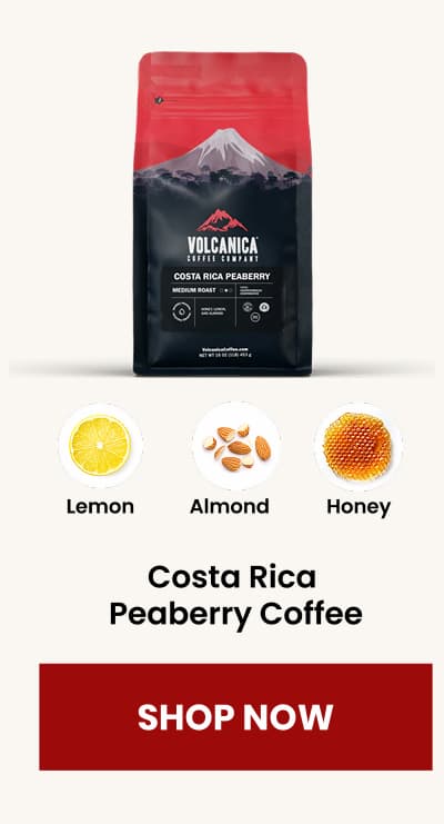 Costa Rica  Peaberry Coffee