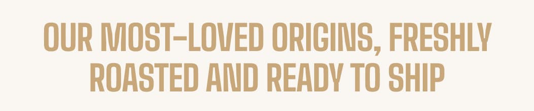 Our most-loved origins, freshly roasted and ready to ship