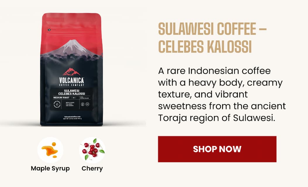 Sulawesi Coffee – Celebes Kalossi