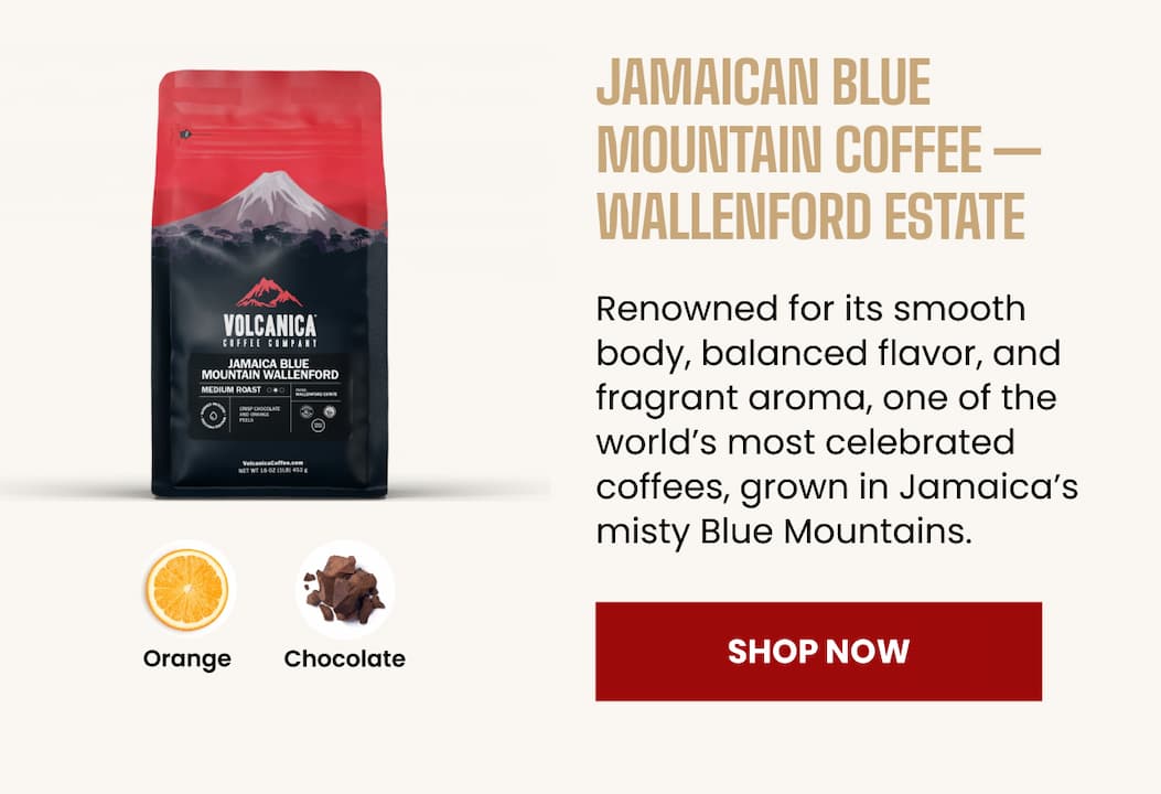 Jamaican Blue Mountain Coffee — Wallenford Estate