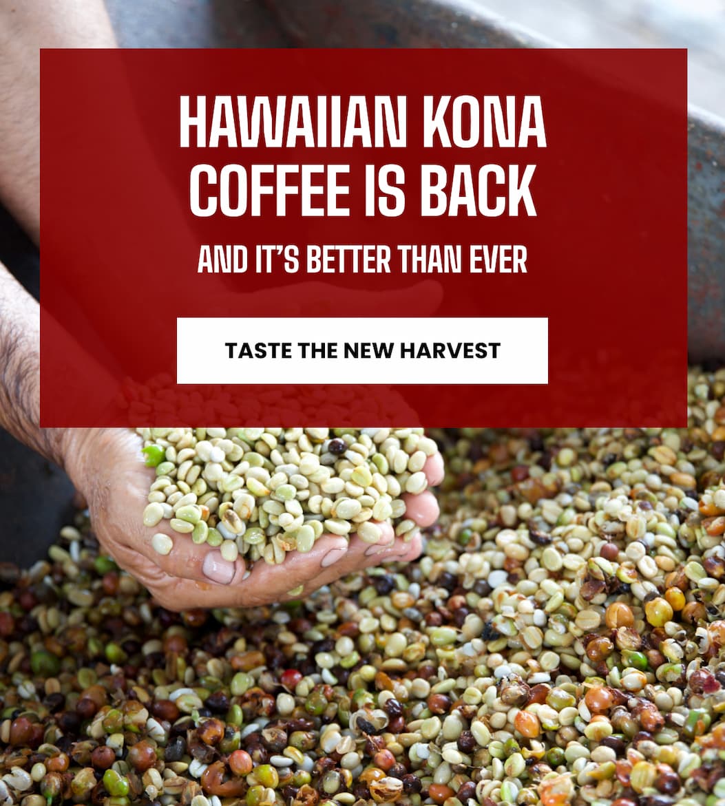 Hawaiian Kona Coffee Is Back